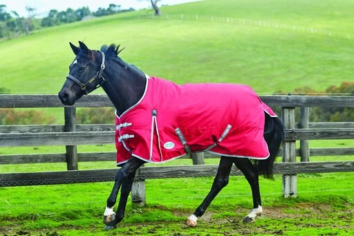 WeatherBeeta Comfitec Classic Standard Neck Medium Horse Blanket, Red/Silver/Navy, 72-in