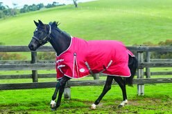 WeatherBeeta Comfitec Classic Standard Neck Medium Horse Blanket, Red/Silver/Navy, 87-in