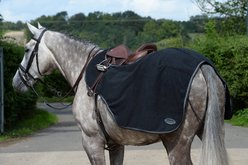 WeatherBeeta Anti-Static Fleece Quarter Sheet Horse Blanket, Black/Silver, Pony
