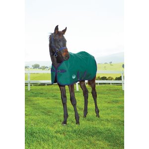 WeatherBeeta 1200D Foal Standard Neck Medium II Horse Blanket, Hunter/Navy, 42-in
