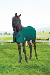 WeatherBeeta 1200D Foal Standard Neck Medium II Horse Blanket, Hunter/Navy, 51-in