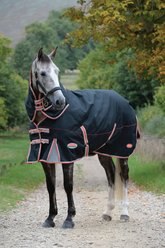 WeatherBeeta Comfitec Premier with Therapy-Tec Detach-A-Neck Medium Horse Blanket, Black/Silver/Red, 78-in