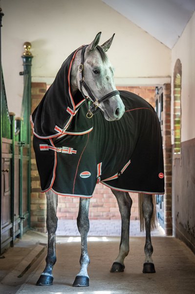 WeatherBeeta Therapy-Tec Fleece Combo Neck Horse Blanket, Black/Silver/Red, 60-in slide 1 of 4