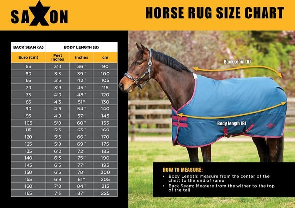 Saxon 1200D with Gusset Standard Neck Lite II Horse Blanket