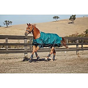 Saxon 1200D with Gusset Standard Neck Medium II Horse Blanket, Hunter/Black, 66-in