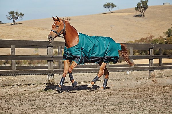Saxon 1200D with Gusset Standard Neck Medium II Horse Blanket, Hunter/Black, 84-in slide 1 of 2