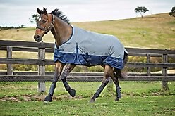 Saxon 210D with Gusset Standard Neck Lite II Horse Blanket, Gray/Navy, 48-in