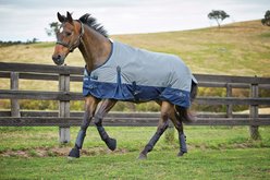 Saxon 210D with Gusset Standard Neck Lite II Horse Blanket, Gray/Navy, 84-in