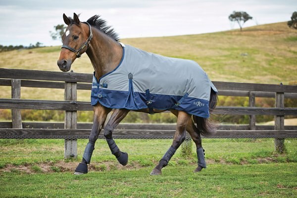 Saxon 210D with Gusset Standard Neck Lite II Horse Blanket
