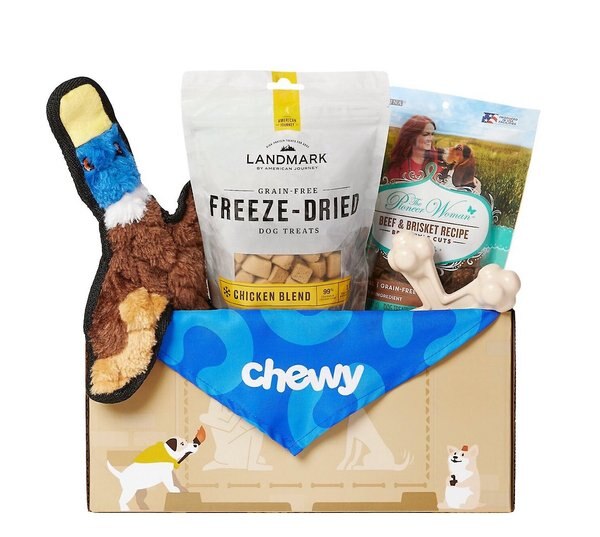 GOODY BOX Chewy Dog Toys, Treats, & Bandana reviews 