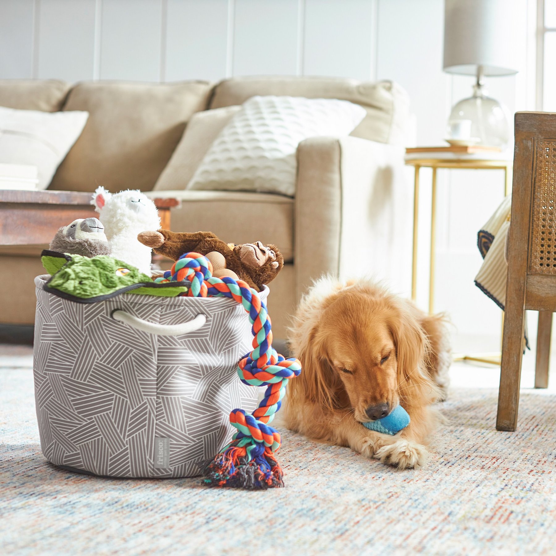 Dog in basket outlet toy