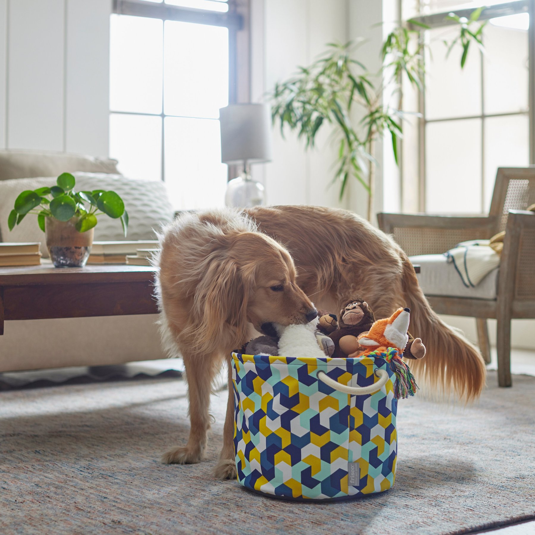 Frisco Rectangle Collapsible Pet Toy Storage Bin, Navy Herringbone