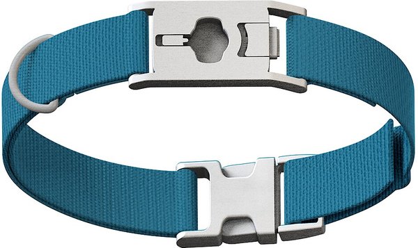 Whistle Twist & Go Dog Bark Collar, Bolt Blue, Medium/Large slide 1 of 2