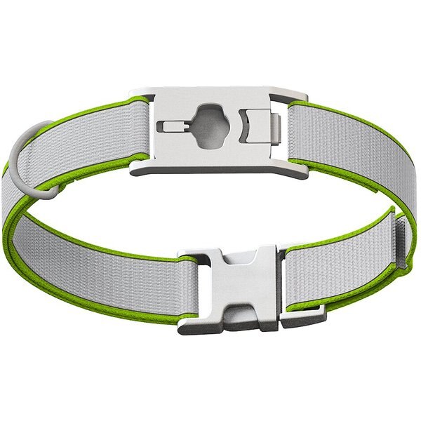 Bark collar chewy Clearance