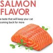 Discontinued - FANCY FEAST Savory Cravings Salmon Flavor Limited ...