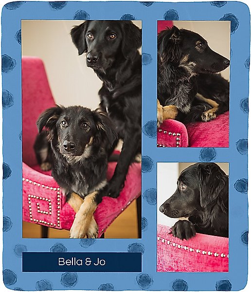 Frisco Dotted Collage Sherpa Fleece Personalized Blanket, 60" x 80" slide 1 of 5