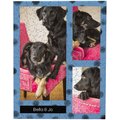 Frisco Personalized Dotted Collage Photo Puzzle, 11" x 14"