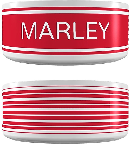 Frisco Preppy Stripes Ceramic Personalized Dog Bowl, 4.75 cup slide 1 of 5