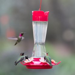Perky-Pet Top-Fill Pinch-Waist Glass Hummingbird Feeder slide 2 of 8