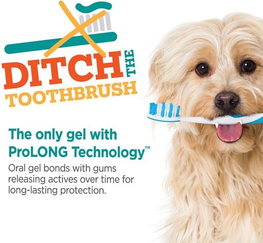 TevraPet Brush Free Dog & Cat Oral Gel, 0.88-oz tube