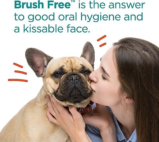 TevraPet Brush Free Dog & Cat Oral Gel, 0.88-oz tube
