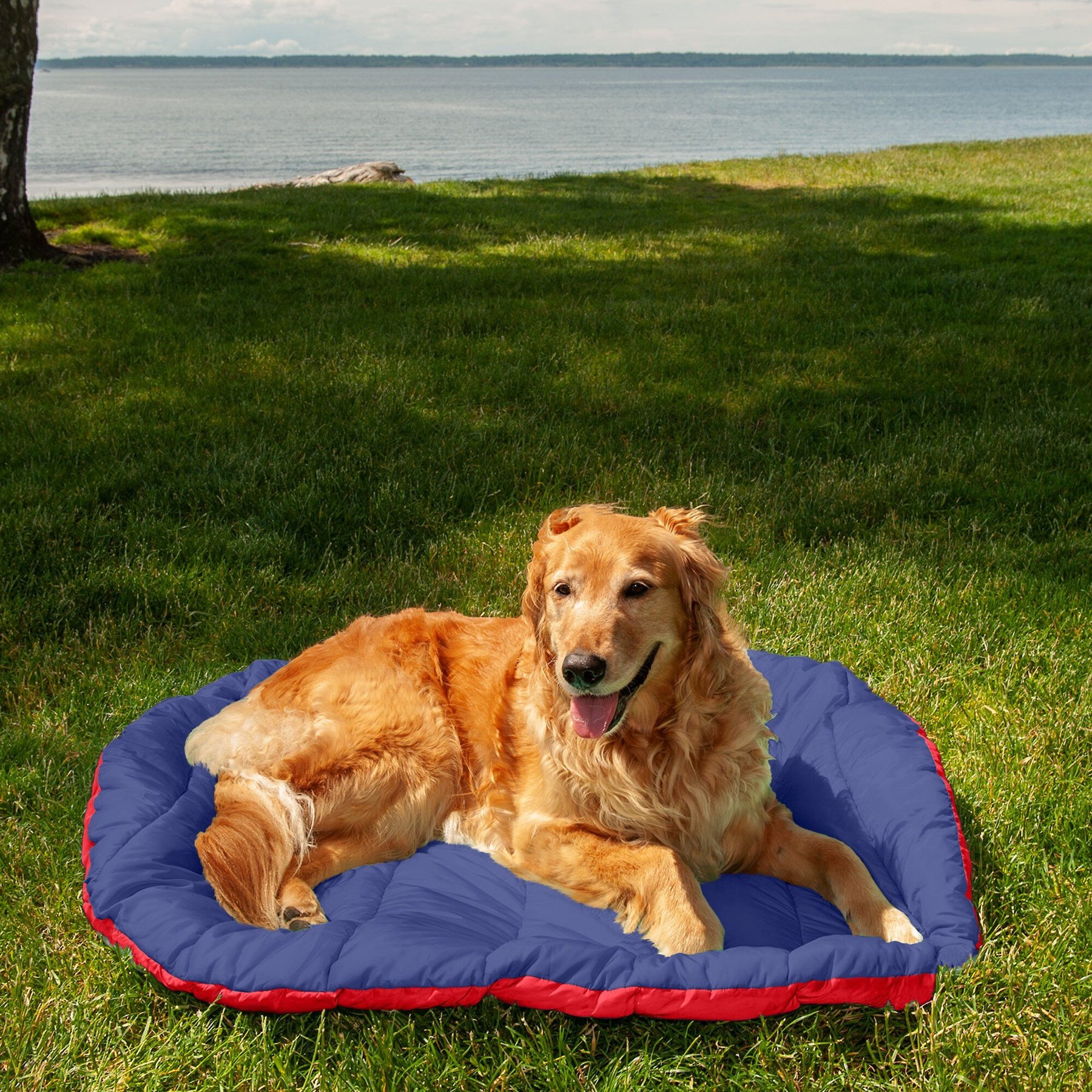 Max & Marlow Luxurious Oval High Bolstered Cuddler Pet Bed, Teal