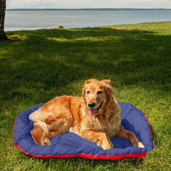 travel dog pillow