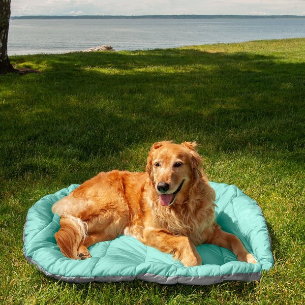 FurHaven Trail Pup Packable Stuff Sack Travel Pillow Dog Bed, Aqua & Granite Gray, Large slide 1 of 10
