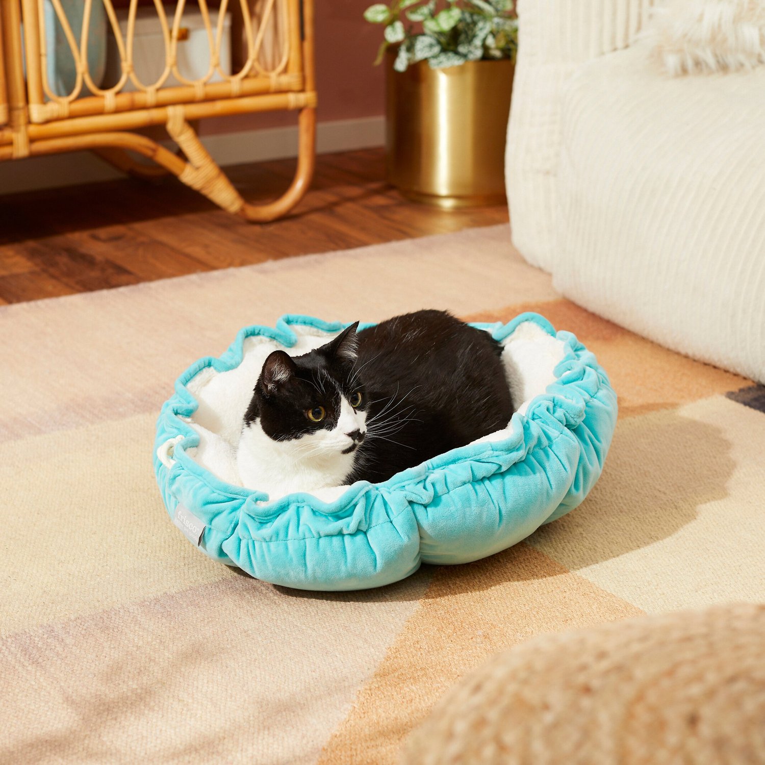 FRISCO Flower Adjustable Cat & Dog Bolster Bed, Teal, Small