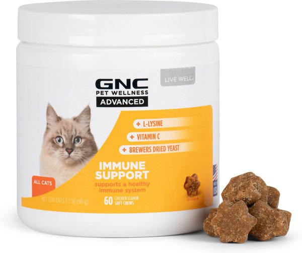 Chewy hotsell cat vitamins