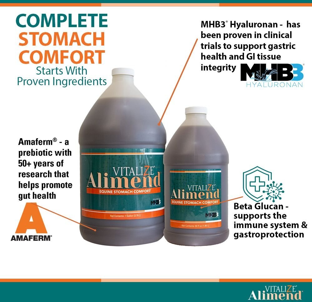 VITALIZE Alimend 24/7 Equine Stomach Comfort Liquid Horse Supplement