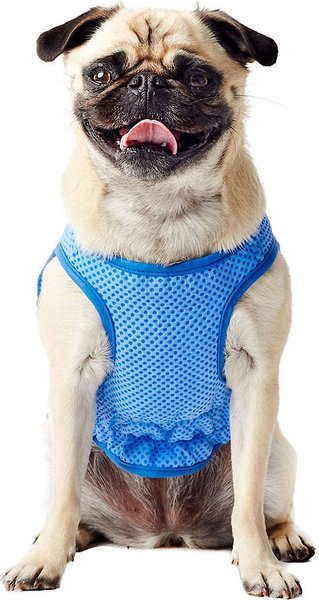 GF Pet Elastofit Ice Dog Vest, Medium slide 1 of 5