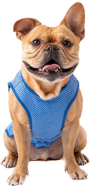 GF Pet Elastofit Ice Dog Vest, Large slide 1 of 5