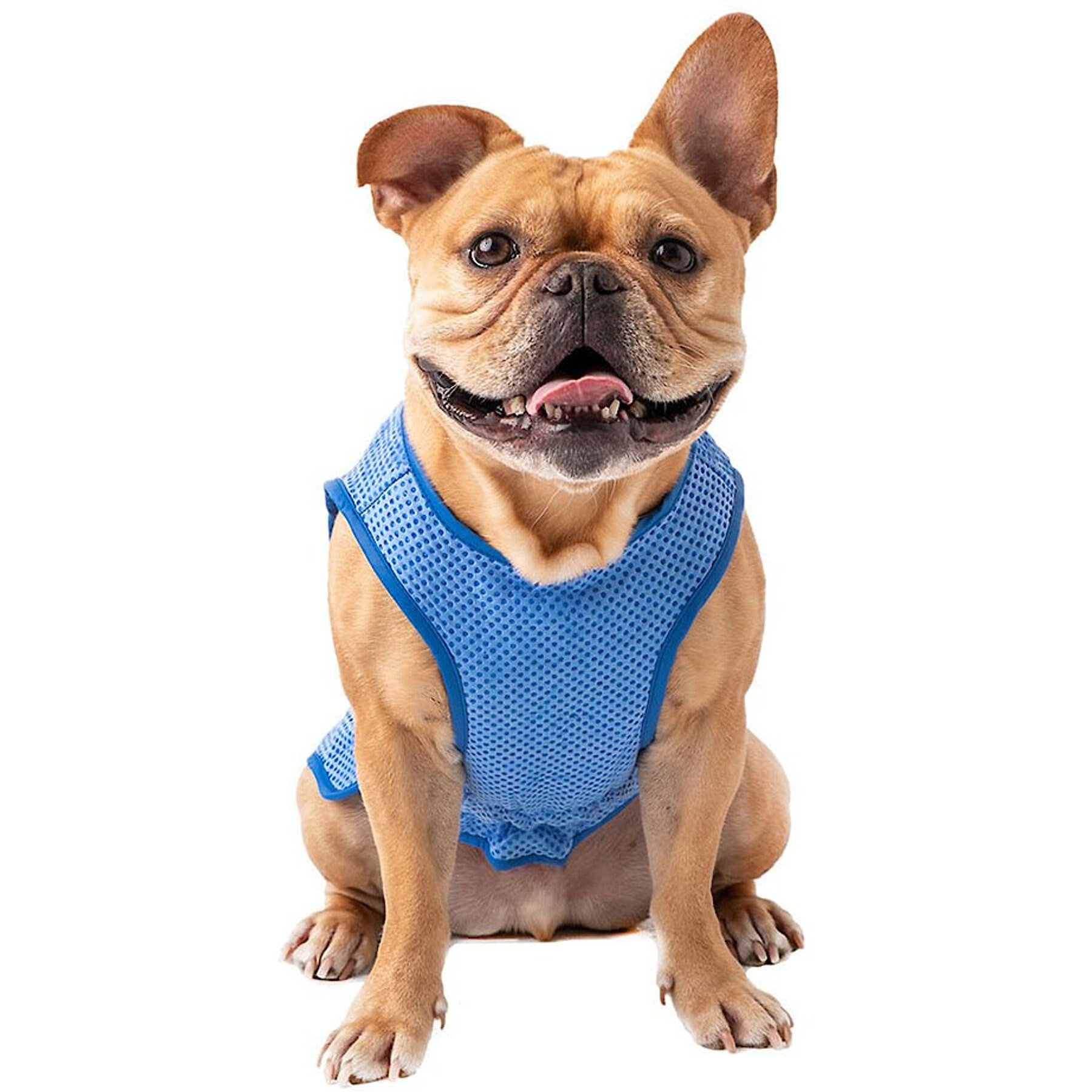 GF Pet Elasto Fit Ice Vest Blue XL