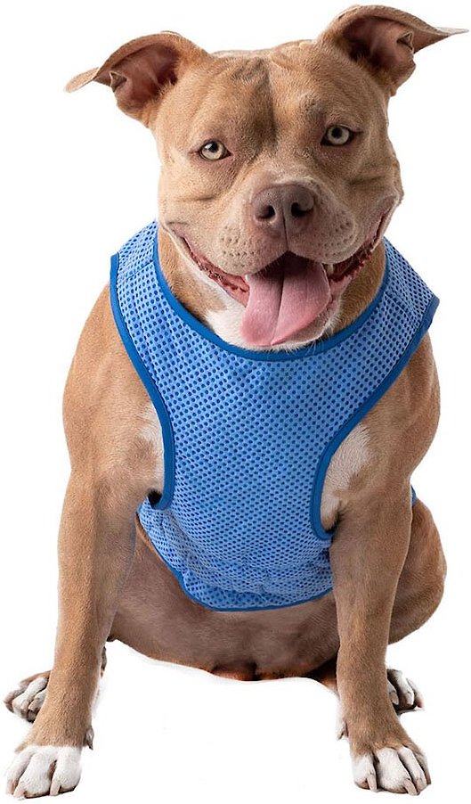 Go fresh pet top ice cooling dog vest