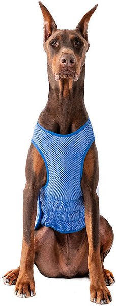 GF Pet Elastofit Ice Dog Vest, 3X-Large slide 1 of 5