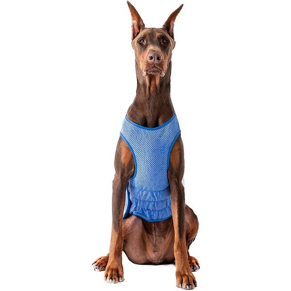 GF PET Elastofit Ice Dog Vest, 3XLarge