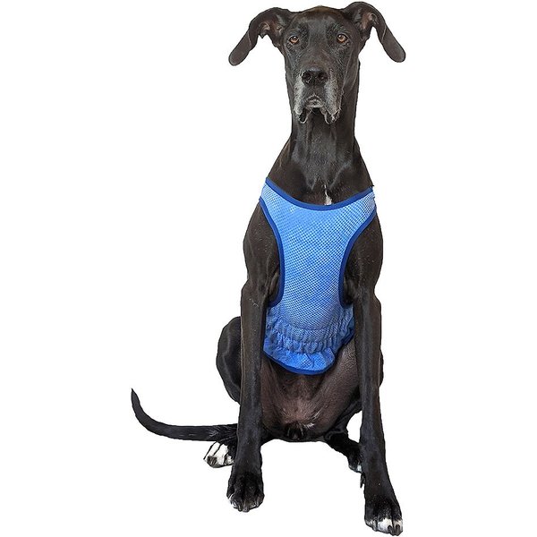 Go fresh pet ice cooling sales dog vest