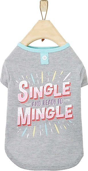 Wagatude Single & Ready To Mingle Dog Tee, Gray, X-Small slide 1 of 6
