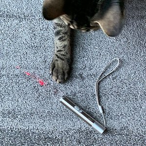 Best laser clearance pointer for cats