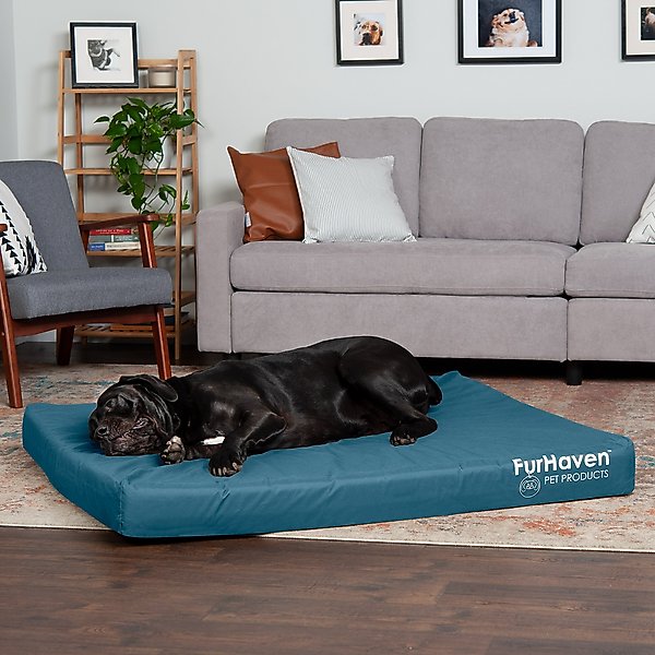 FurHaven Deluxe Oxford Full Support Dog & Cat Bed with Removable Cover, Deep Lagoon, Jumbo Plus slide 1 of 9