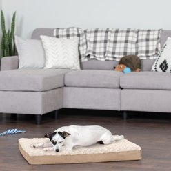 FurHaven NAP Ultra Plush Full Support Orthopedic Deluxe Dog & Cat Bed, Cream, Medium