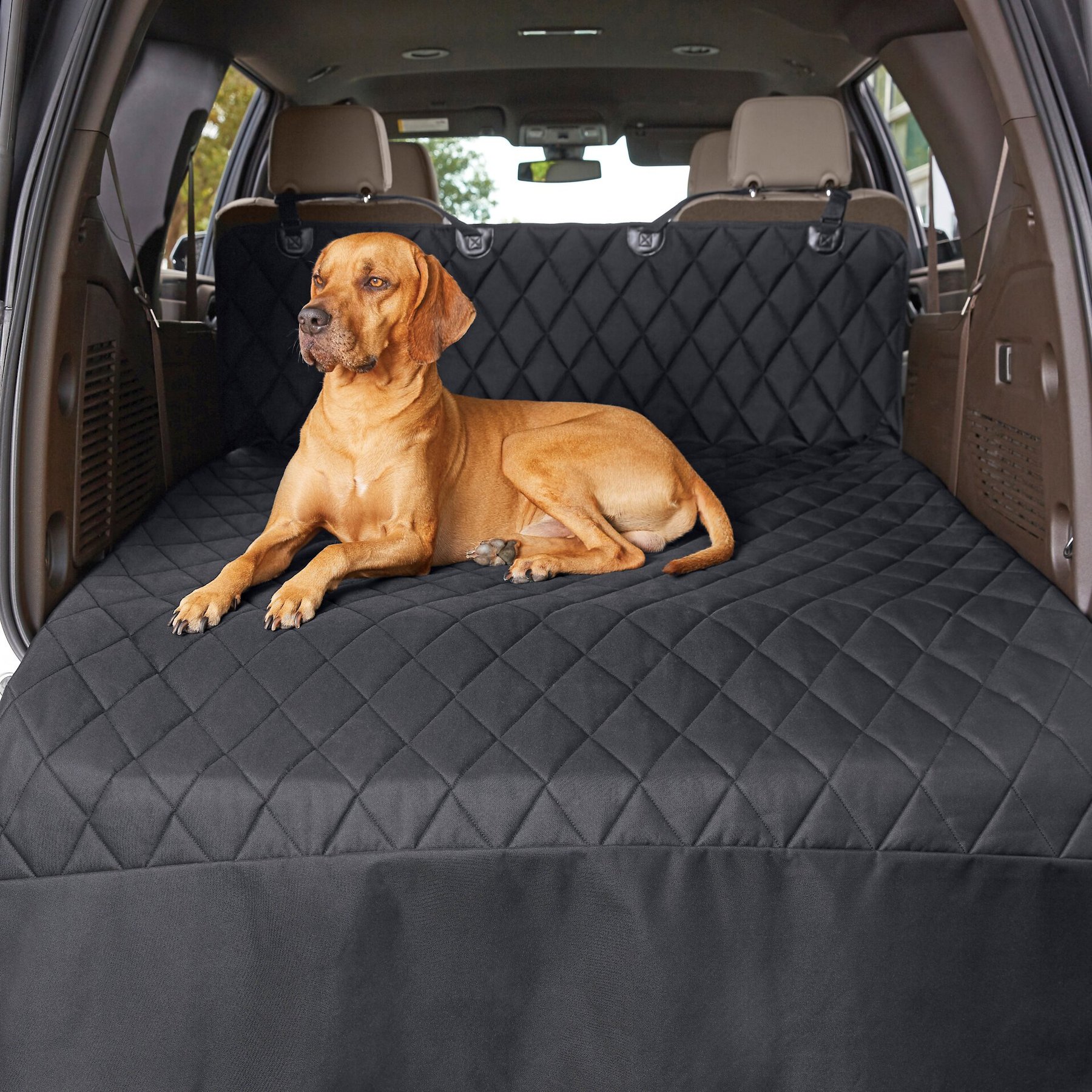 Frisco Water Resistant Hammock Car Seat Cover, Regular, Black 169663