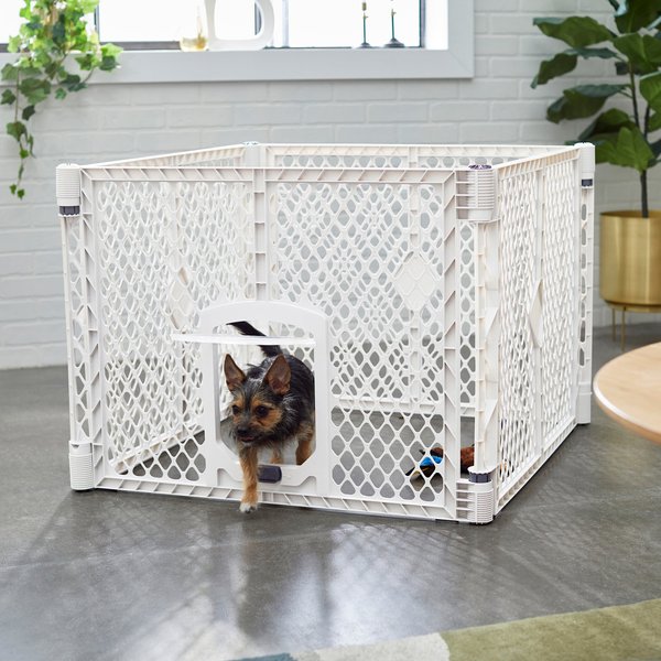 FRISCO 8-Panel Plastic Exercise Dog Playpen, 34"H, Black - Chewy.com