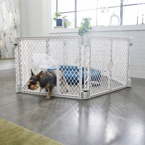 FRISCO 6 Panel Plastic Exercise Dog Playpen Light Gray Chewy