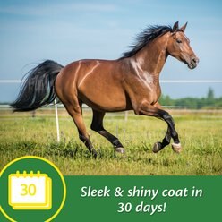 Farnam Super 14 Healthy Skin & Coat Granules Horse Supplement, 5-lb tub slide 2 of 8