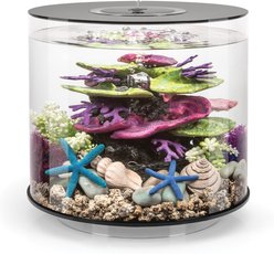 biOrb TUBE LED Aquarium, Black, 4-gal
