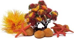 biOrb Aquarium Decor Set, 4-gal, Autumn