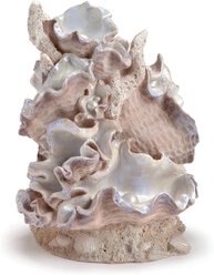 biOrb Clamshell Aquarium Ornament, Medium