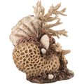 biOrb Coral Shells Aquarium Ornament, Neutral